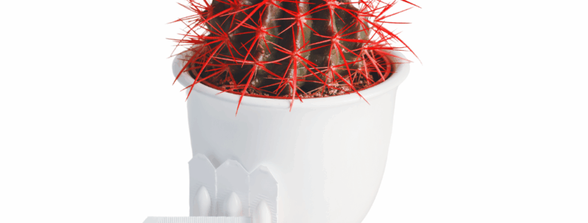 αιμορροΐδες παθησεις